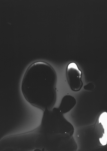 <strong>Spermagram</strong><br /><strong>30. 6. 2004</strong><br />gelatin silver bromide photographic paper RC, 77 × 126 mm