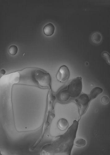 <strong>Spermagram</strong><br /><strong>2. 7. 2004</strong><br />gelatin silver bromide photographic paper RC, 177 × 126 mm