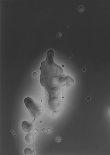 <strong>Spermagram</strong><br /><strong>26. 7. 2004</strong><br />gelatin silver bromide photographic paper RC, 239 × 178 mm