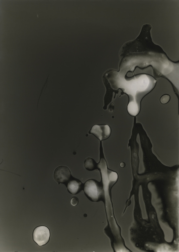 <strong>Spermagram</strong><br /><strong>25. 8. 2007</strong><br />gelatin silver bromide photographic paper, 177 × 126 mm