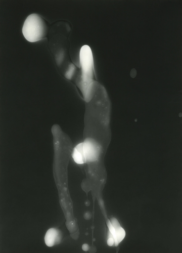 <strong>Spermagram</strong><br /><strong>27. 3. 2008</strong><br />gelatin silver bromide photographic paper, 230 × 167 mm