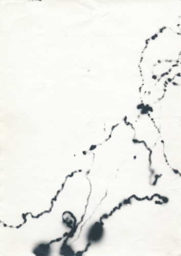 <strong>Movements of Fireflies 1 (Phausis Splendidula)</strong><br /><strong>9. 7. 1991</strong><br />gelatin silver bromide photographic paper, 207 × 148 mm