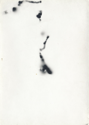 <strong>Movements of Fireflies 2; II/IV (Phausis Splendidula)</strong><br /><strong>9. 7. 1991</strong><br />gelatin silver bromide photographic paper, 147 × 104 mm