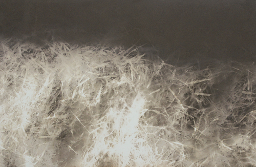 <strong>Grass</strong><br /><strong>5.—12. 4. 2003</strong><br />gelatin silver bromide photographic paper, hardboard, wooden frame, 98 × 150 cm (courtesy of the Gallery of Arts in Karlovy Vary)