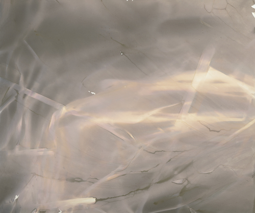 <strong>Bulrush I/II</strong><br /><strong>20.—28. 3. 2001</strong><br />gelatin silver bromide photographic paper, 498 × 597 mm (courtesy of the Gallery of Fine Arts in Ostrava)