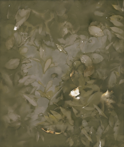 <strong>Water’s Surface; I/II</strong><br /><strong>20.—31. 10. 1999</strong><br />gelatin silver bromide photographic paper, 597 × 497 mm