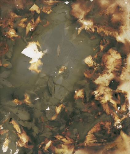 <strong>Water’s Surface; II/IV</strong><br /><strong>15.—21. 10. 2000</strong><br />gelatin silver bromide photographic paper, 596 × 497 mm