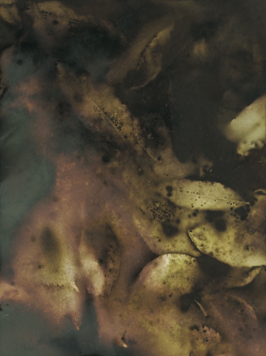 <strong>Water’s Surface; I/II</strong><br /><strong>21.—29. 10. 2000</strong><br />gelatin silver bromide photographic paper, 239 × 179 mm