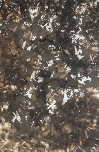 <strong>Water’s Surface</strong><br /><strong>21. 10. — 1.  11. 2002</strong><br />gelatin silver bromide photographic paper, hardboard, wooden frame, 150 × 98 cm