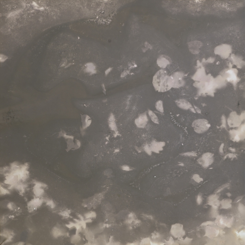 <strong>Water’s Surface</strong><br /><strong>3.—9.  2. 2006</strong><br />gelatin silver bromide photographic paper, hardboard, wooden frame, 100 × 95 cm