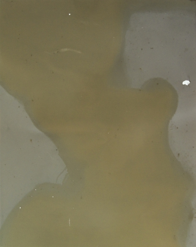 <strong>In the Creek</strong><br /><strong>19.—23. 9. 2006</strong><br />gelatin silver bromide photographic paper, wood panel, 53,1 × 43,2 cm