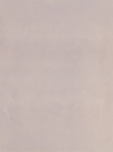 <strong>Spring</strong><br /><strong>1989</strong><br />gelatin silver bromide photographic paper, 396 × 296 mm