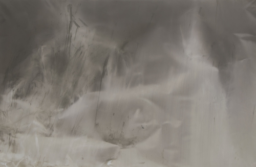 <strong>Bulrush</strong><br /><strong>27. 12. 2002 — 7. 2. 2003</strong><br />gelatin silver bromide photographic paper, hardboard, wooden frame, 98 × 149,8 cm