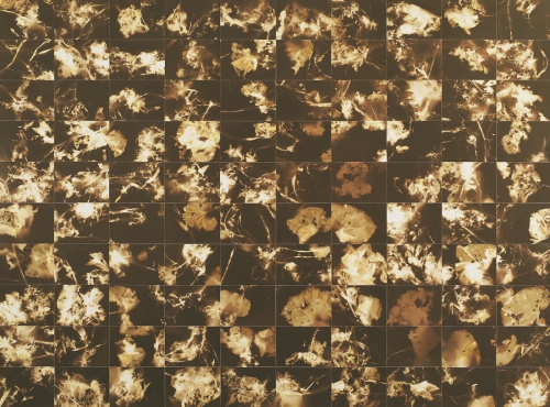 <strong>Burdock Field</strong><br /><strong>11.—18. 2. 2001</strong><br />gelatin silver bromide photographic paper, Kapa sandwich board, wooden frame, 170 × 230 cm