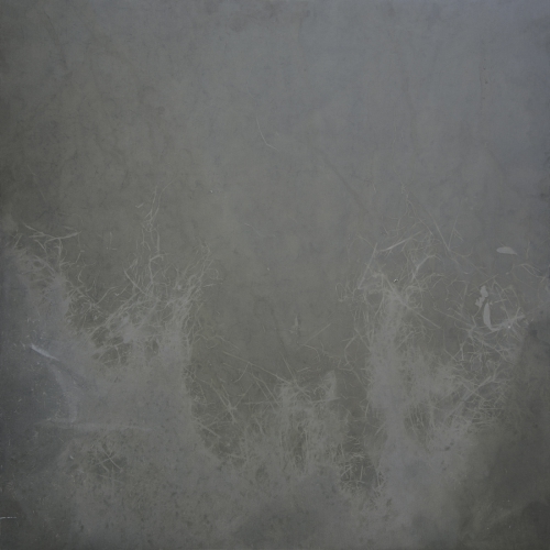 <strong>Grass — Snow; I/II</strong><br /><strong>30.—31. 3. 1996</strong><br />gelatin silver bromide photographic paper, hardboard, wooden frame, 100 × 100 cm