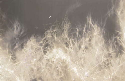 <strong>Grass</strong><br /><strong>7.—11. 3. 2003</strong><br />gelatin silver bromide photographic paper, hardboard, wooden frame, 97,9 × 149,5 cm