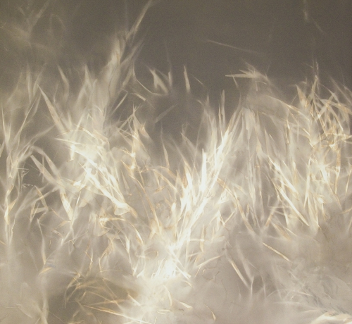 <strong>Grass — Snow</strong><br /><strong>17.—21. 1.  2004</strong><br />gelatin silver bromide photographic paper, hardboard, wooden frame, 75,1 ×  81,7 cm