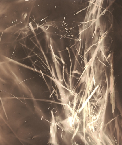 <strong>Grass 8</strong><br /><strong>23.—30. 1. 2001</strong><br />gelatin silver bromide photographic paper, 230 × 170 mm