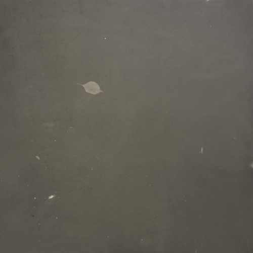 <strong>In the Forest 1</strong><br /><strong>5.—9. 12. 1993</strong><br />gelatin silver bromide photographic paper, hardboard, wooden frame, 100 × 100 cm
