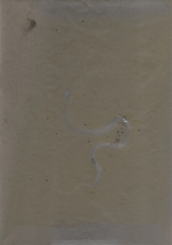 <strong>18 Days of a Snake’s Decay</strong><br /><strong>25. 7. — 11. 8. 1993</strong><br />gelatin silver bromide photographic paper, 294 × 207 mm