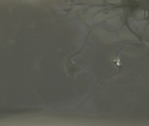 <strong>Under a Rock (Across from the Cave)</strong><br /><strong>28.—29. 4. 2005</strong><br />gelatin silver bromide photographic paper, 514 × 606 mm