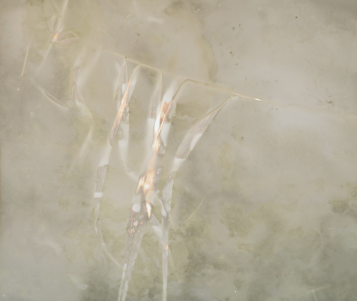 <strong>On the Bank of Pond</strong><br /><strong>12.—16. 1. 2002</strong><br />gelatin silver bromide photographic paper, 495 × 587 mm