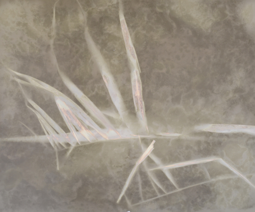 <strong>On the Bank of Pond</strong><br /><strong>15.—18. 12. 2002</strong><br />gelatin silver bromide photographic paper, 495 × 586 mm