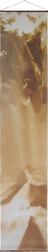 <strong>Little Waterfall</strong><br /><strong>13.—15. 6. 1992</strong><br />gelatin silver bromide photographic paper, elderberry twigs, phloem 189 × 35,5 cm