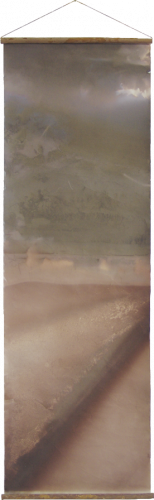 <strong>Bank — Ice</strong><br /><strong>2.—12. 1. 1993</strong><br />gelatin silver bromide photographic paper, elderberry twigs, phloem 116 × 36 cm