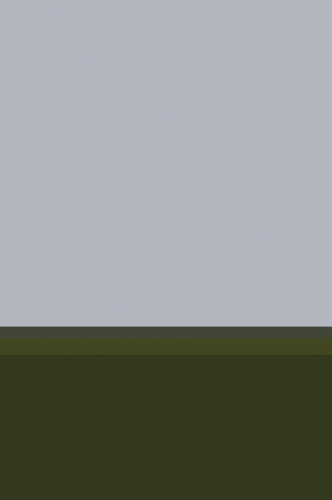 <strong>Forest and Fields</strong><br /><strong>2014 06 11 19:49:42</strong><br />print, Hahnemühle paper, 1051 × 698,5 mm