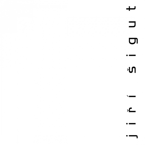 JIŘÍ ŠIGUT: ZÁZNAMY / RECORDS