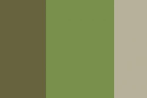 <strong>Pole</strong><br /><strong>2018 05 11 08:40:15</strong><br />akryl na plátně, 70×105 cm