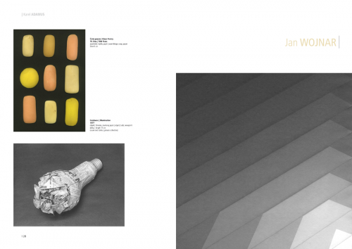 Silesia Concept