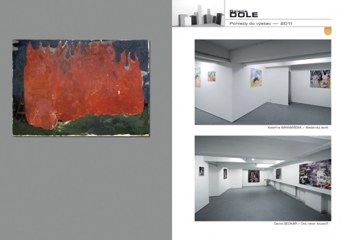 GALERIE DOLE 2011