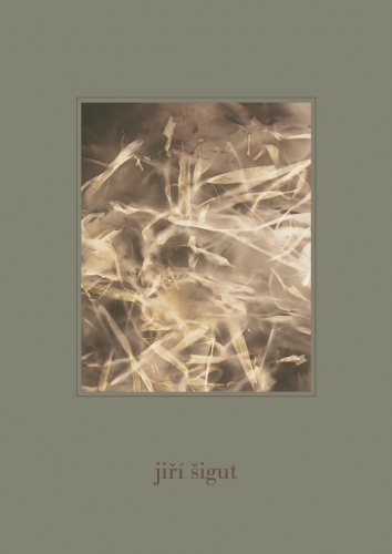 JIŘÍ ŠIGUT: ZÁZNAMY – RECORDS (fotografie z let 1999–2003)