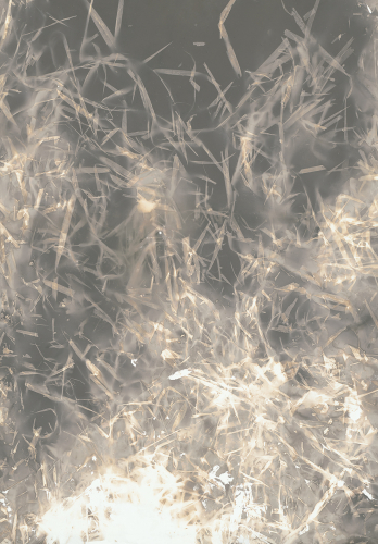 <strong>Tráva</strong><br /><strong>29. 12. 2002 —18. 1. 2003</strong><br />bromo–stříbrný fotografický papír, sololit, dřevěný rám, 97,5 × 67,8 cm (s laskavým svolením GVU, Ostrava)