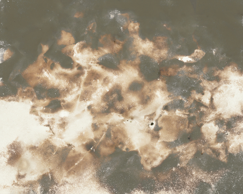 <strong>Hladina</strong><br /><strong>22. 11.—9. 12. 2000</strong><br />bromo–stříbrný fotografický papír, dřevěná deska, 42 × 52,1 cm (s laskavým svolením GVU, Ostrava)