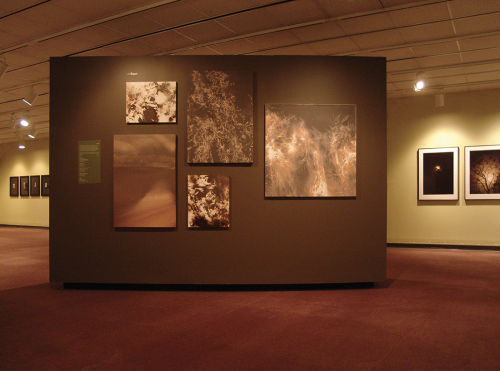 <strong>PICTURING EDEN</strong><br /><strong>George Eastman House, Rochester, New York  28. 01. — 18. 06. 2006</strong> | kurátorka: Deborah Klochko<br />pohled do části instalace, foto: J. Š.