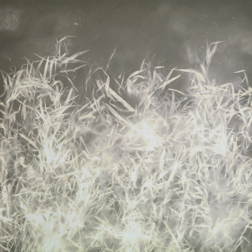 <strong>Tráva — sníh</strong><br /><strong>5.—7. 1. 1995</strong><br />bromo–stříbrný fotografický papír, sololit, dřevěný rám, 100 × 100 cm